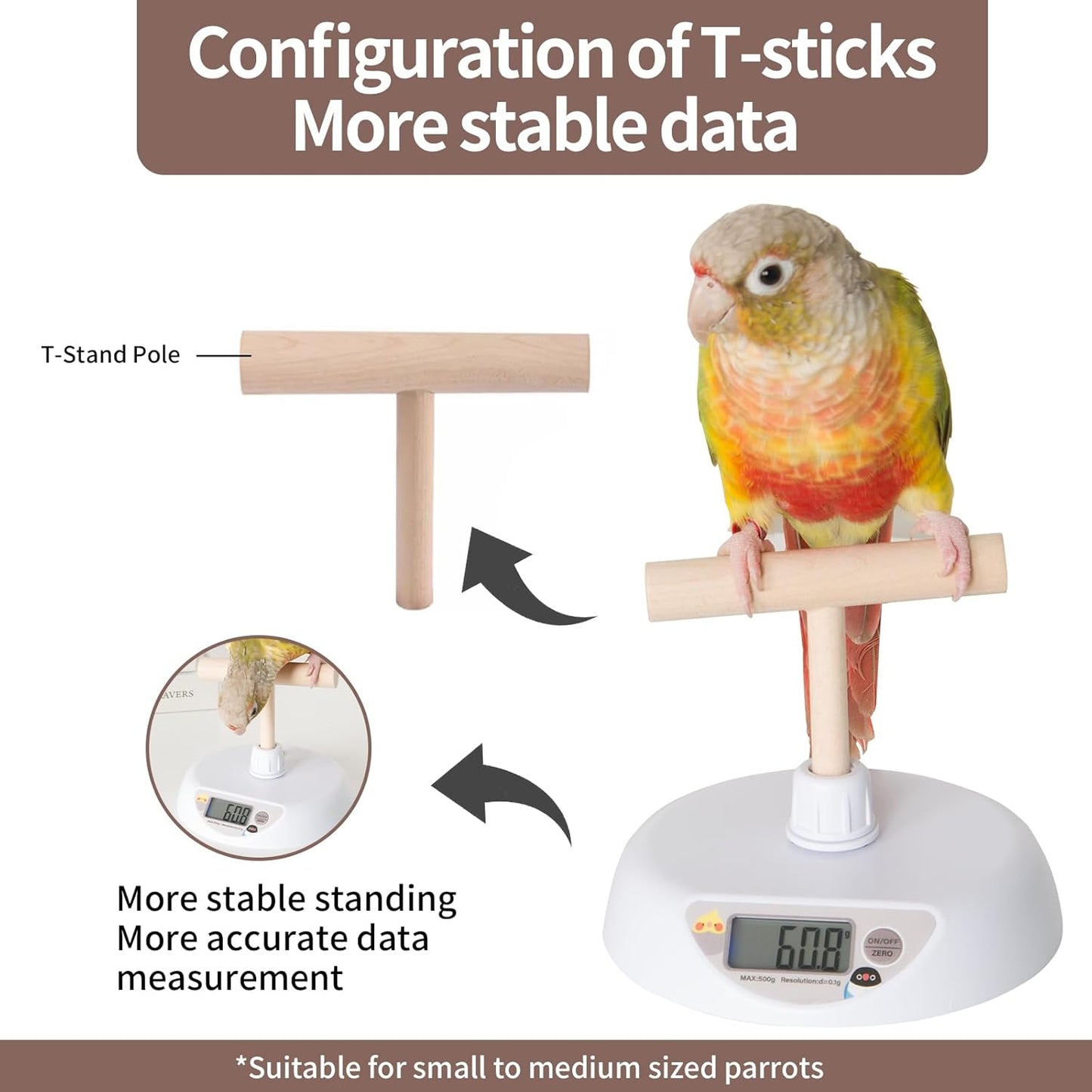 Pet Scale for Birds, Parakeet Weight Scale, HD Backlit Display Capacity 1.1lbs(500g) High Accuracy 0.1g Scale Easy Install Bird Training Stand and Perch Designed for Small Birds & Reptiles
