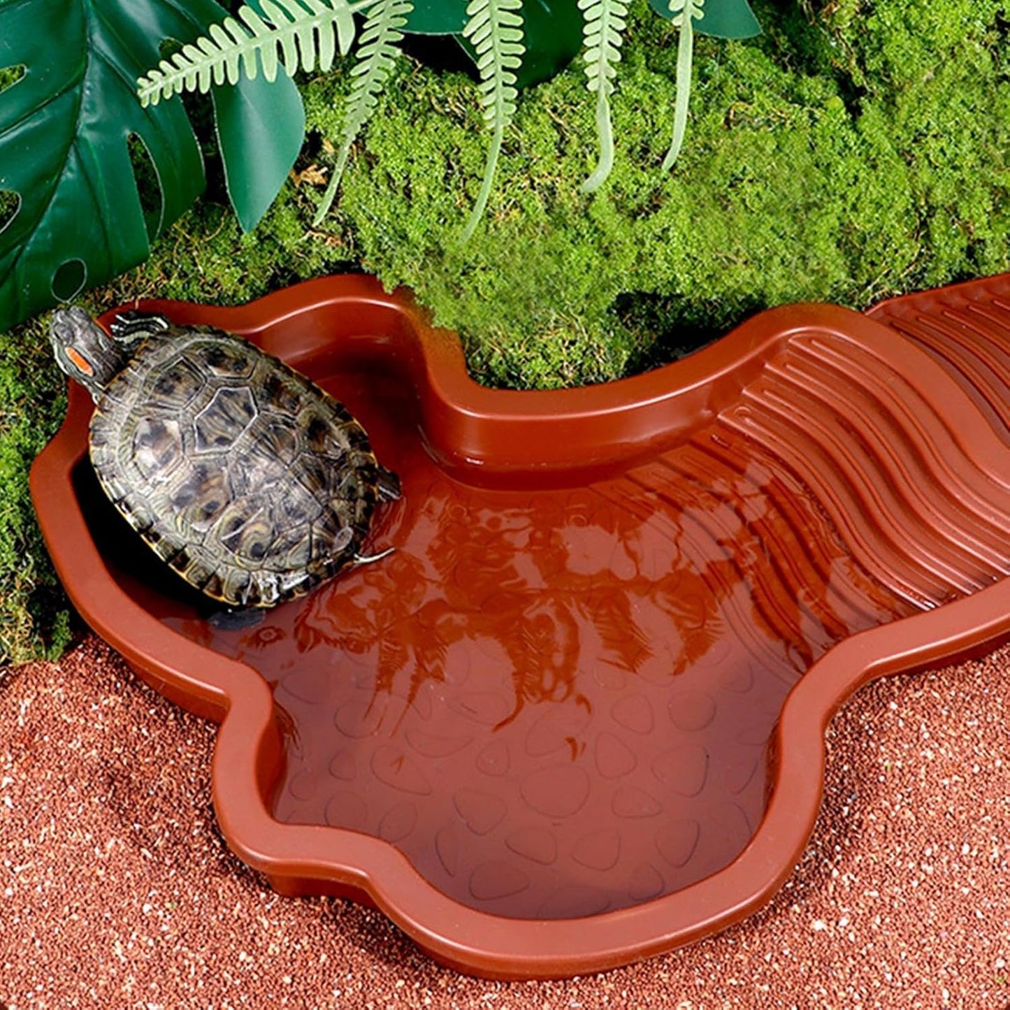 Piscine Tortue Terrestre Mangeoire, Plat d'eau Bassin pour Tortue de Piscine avec Rampe, Bol d'eau pour Reptiles avec Échelle, Bassin de Douche pour Terrasse (A)