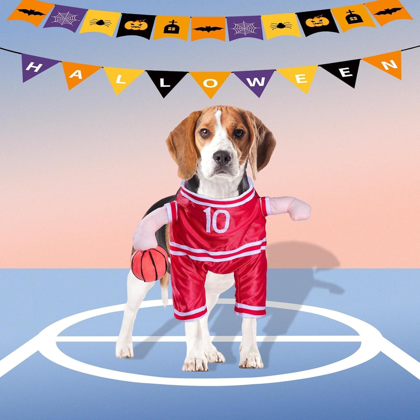 DELIFUR Dog Basketball Player Costume - Pet Halloween Costume Adjustable Funny Dress Up Sports Outfit Cosplay Clothes for Small Medium Dog (Red Basketball, Medium)