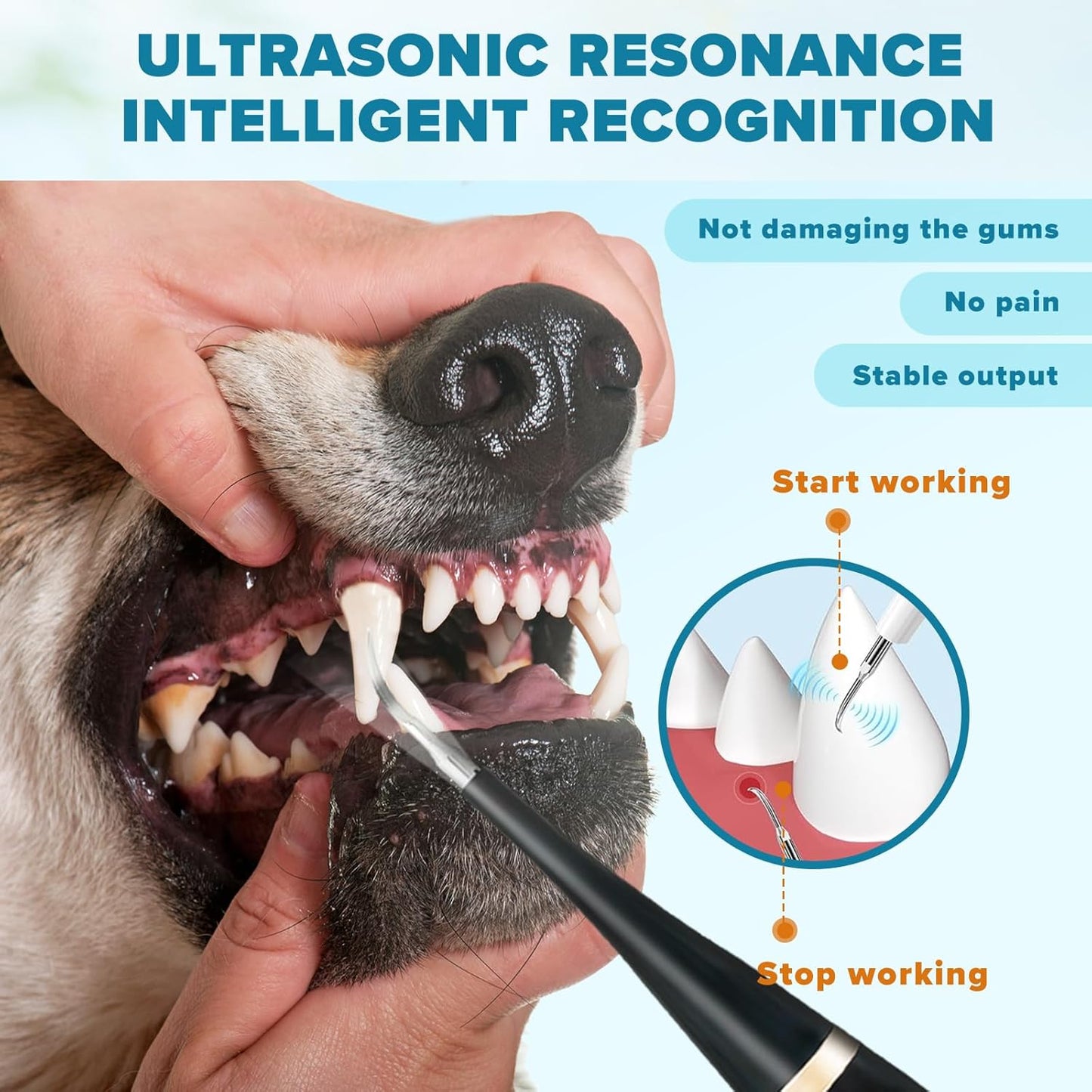 Canident - Sonic Tooth Cleaner for Dogs.Cat Dental Care, Electric Sonic Tooth Cleaner for Dogs, Pet Tartar Plaque Remover, Professional Dog Teeth Cleaning Tools (Black, Standard Size)