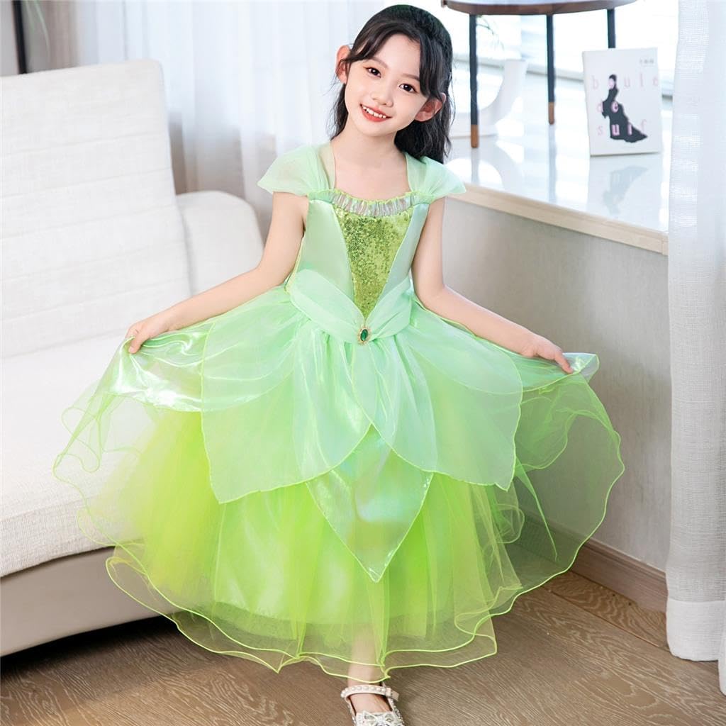 Dressy Daisy Green Fancy Fairy Halloween Costume Birthday Party Dress Up for Toddler Girls Size 2T to 10