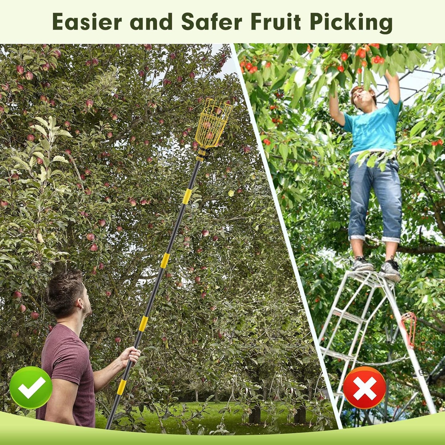 Fruit Picker Tool,Apple Picker Pole with Basket,5.5 FT Adjustable Fruit Picker Pole with Basket Telescoping,Sturdy Basket with Foam Pad for Picking Avocado Acorn Lemon Pear Mango……