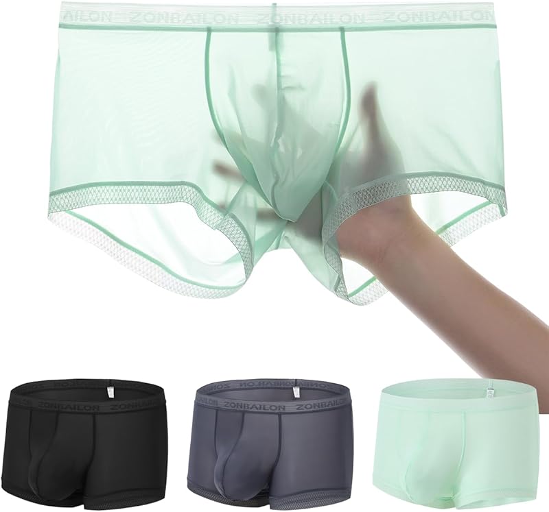 Men's Sexy Underwear Ice Silk Sheer Boxer Briefs See Through Mesh Ultra Thin Transparent Trunk