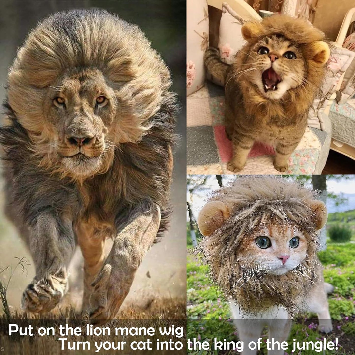 Cat Lion Mane Halloween Costume for Small Cats & Puppy– Pet Costume for Halloween, Cat Birthday, Cat Cosplay, Cat Outfits, Pet Clothes (Grey)