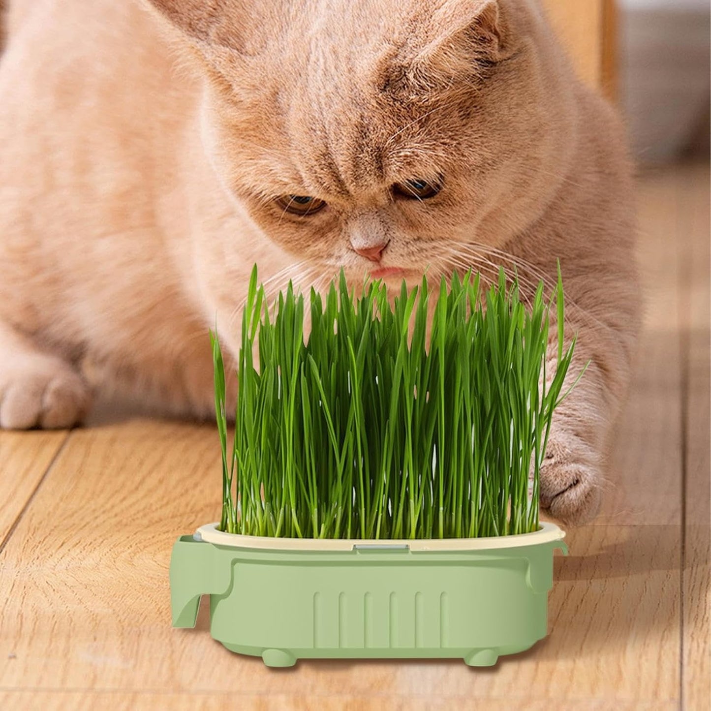 Hydroponic Cat Grass Pot | Indoor Cat Grass Hydroponic Planting Pot - Beginners-Friendly Novelty Pet Snacks Soil-Less Watering Solution for Garden, Balcony