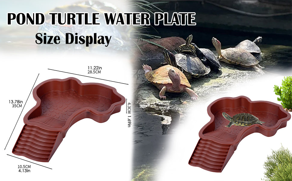 Piscine Tortue Terrestre Mangeoire, Plat d'eau Bassin pour Tortue de Piscine avec Rampe, Bol d'eau pour Reptiles avec Échelle, Bassin de Douche pour Terrasse (A)