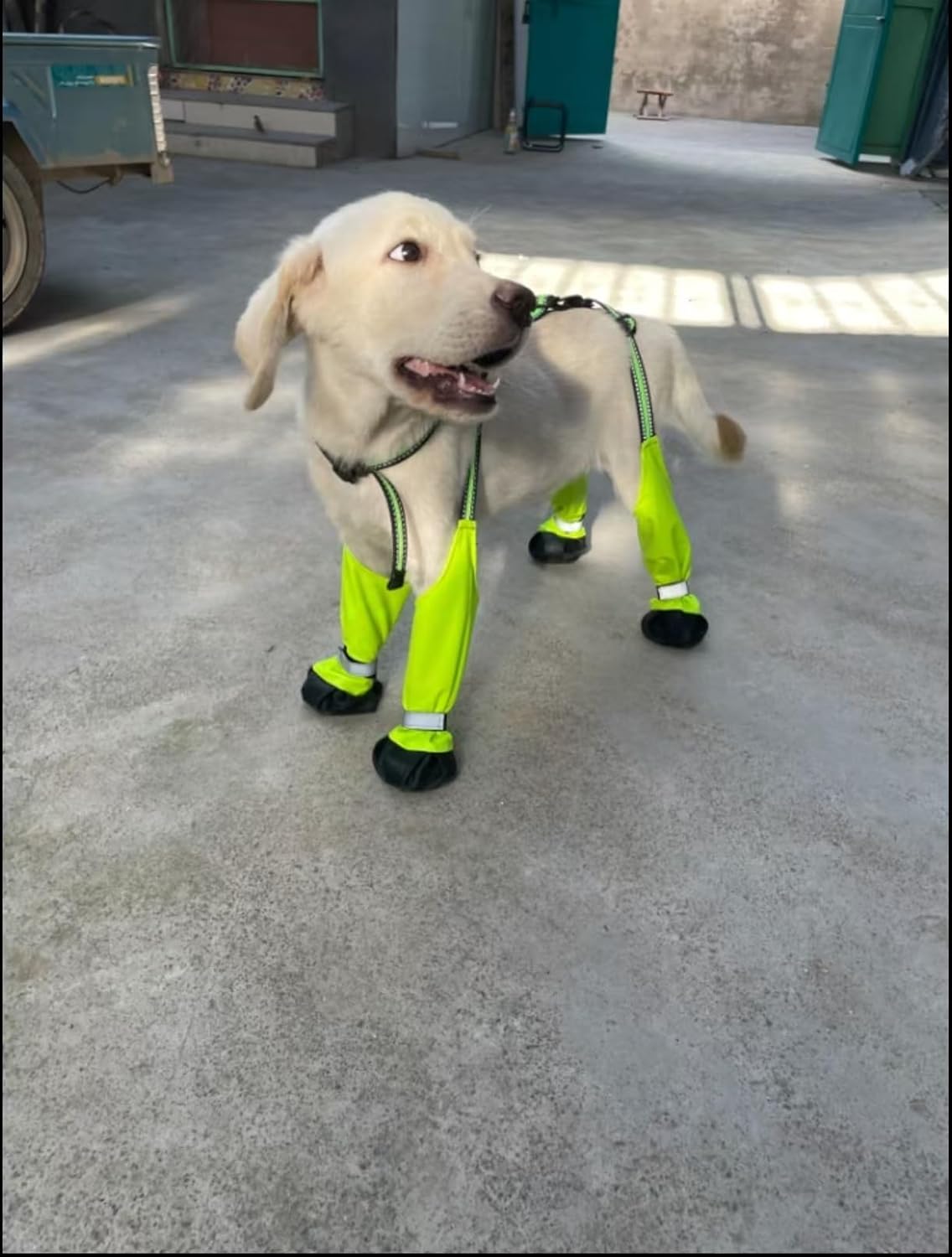 Adjustable Dog Suspender Boots with Attached Waterproof Paw Protectors, Non - Slip Summer Hiking Shoes for Rainy Days and Night Safety with Reflective Design (Green, S) - TrendyLookz