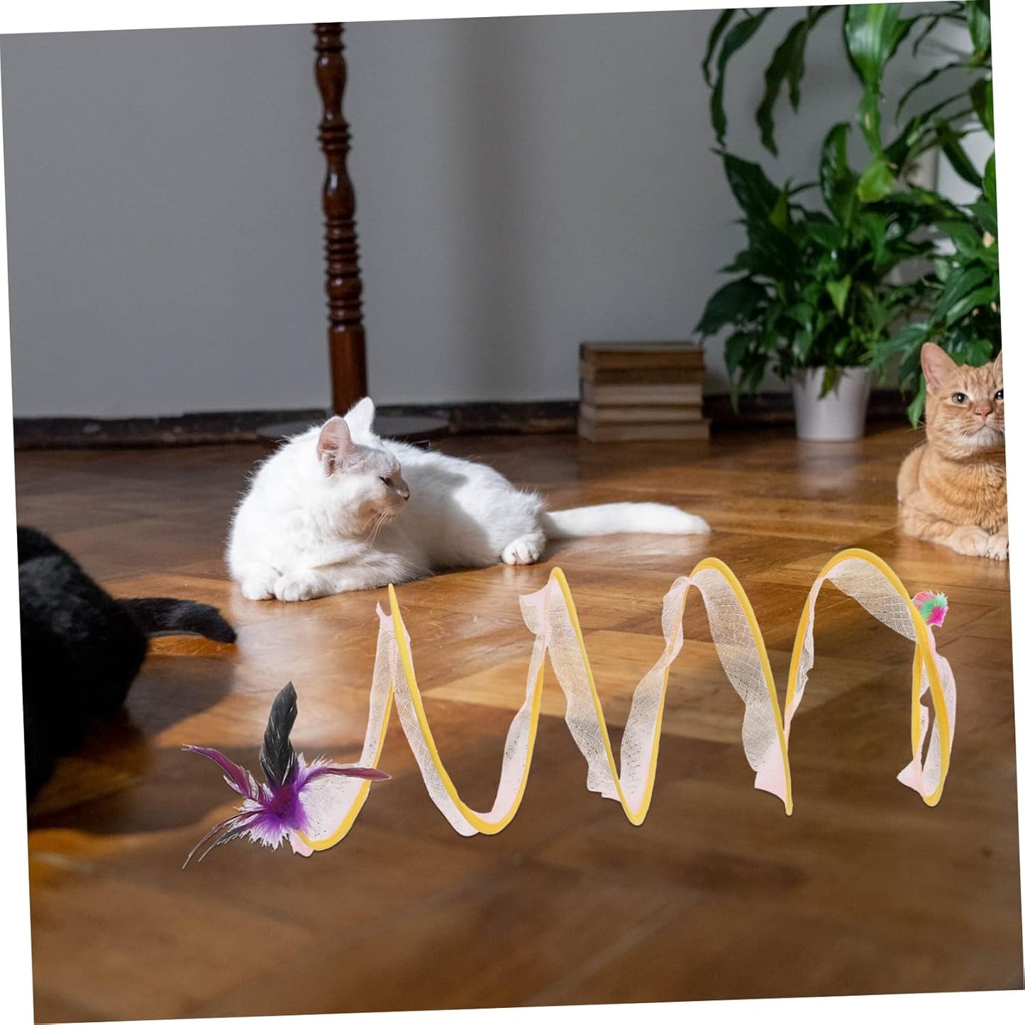NOLITOY Catトンネルおもちゃ Kittenのトンネルのおもちゃ. For indoor catsのCatトンネル CatのトンネルIndoor Foldりmatまれた CatインタラクティブIndoor Cat for Catsトンネル Catのチューブ Steel Wire