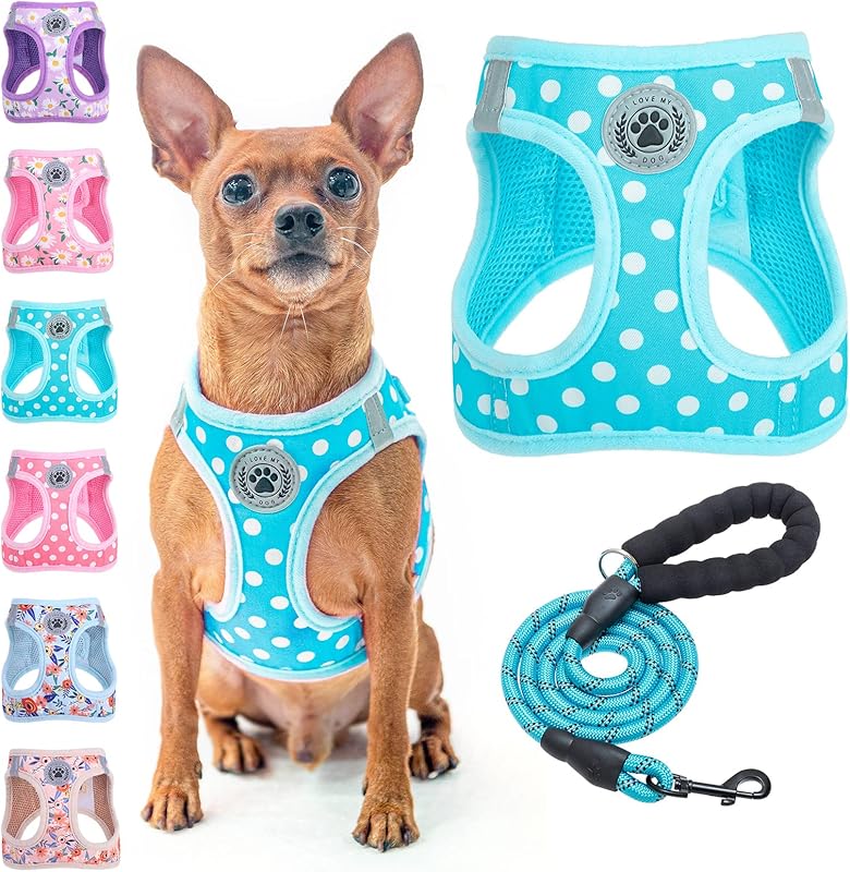 BEAUTYZOO Plaid Dog Harness and Leash Set for XS S Pets, Step-in No Choke No Pull Soft Mesh Vest Harness, Reflective for Extra-Small/Small Medium Puppy Dogs and Cats, Beige S