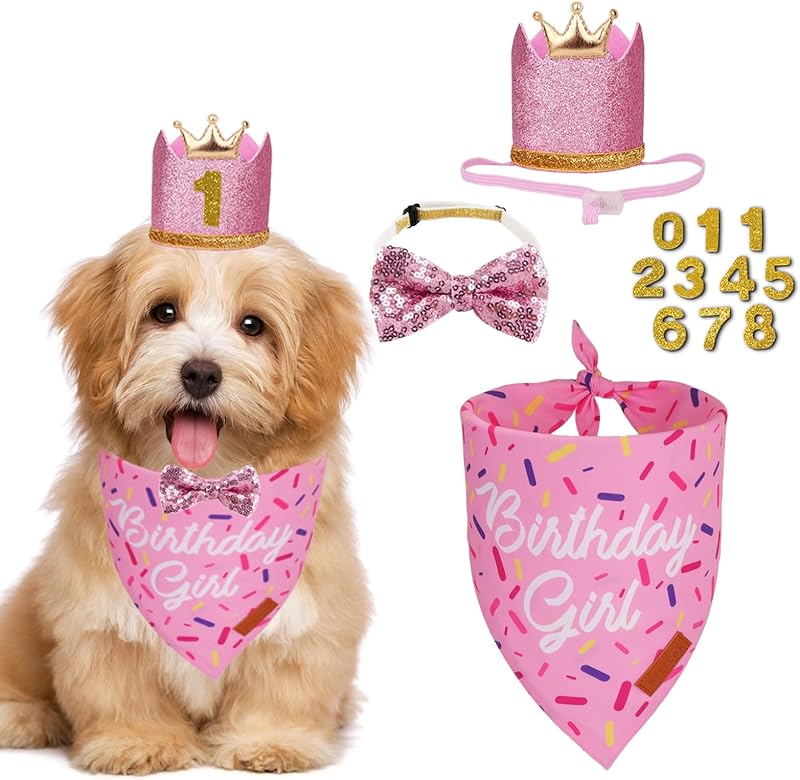 PTDECOR Dog Birthday Party Supplies, Multi Size Birthday Boy Bandana, Blue Crowns Dog Hat Set for Small Pets (Small)