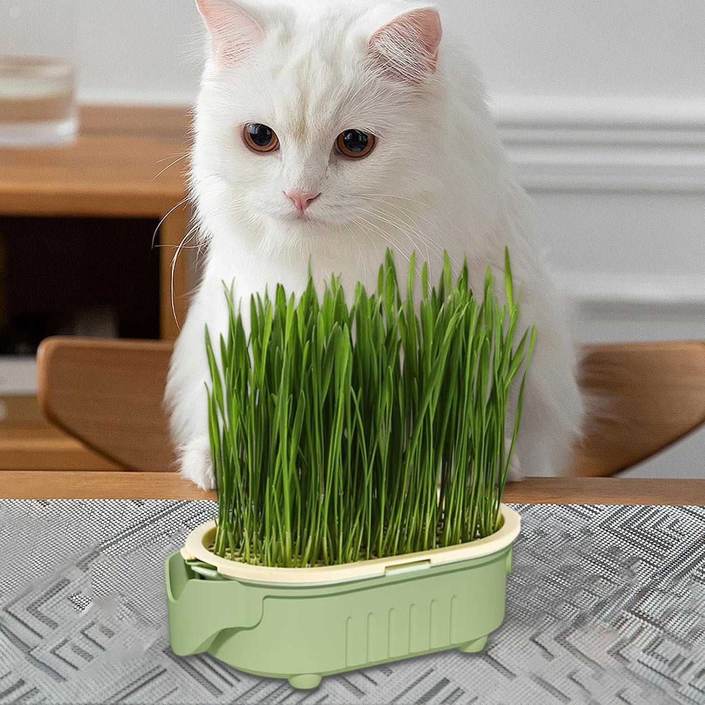Hydroponic Cat Grass Pot | Indoor Cat Grass Hydroponic Planting Pot - Beginners-Friendly Novelty Pet Snacks Soil-Less Watering Solution for Garden, Balcony