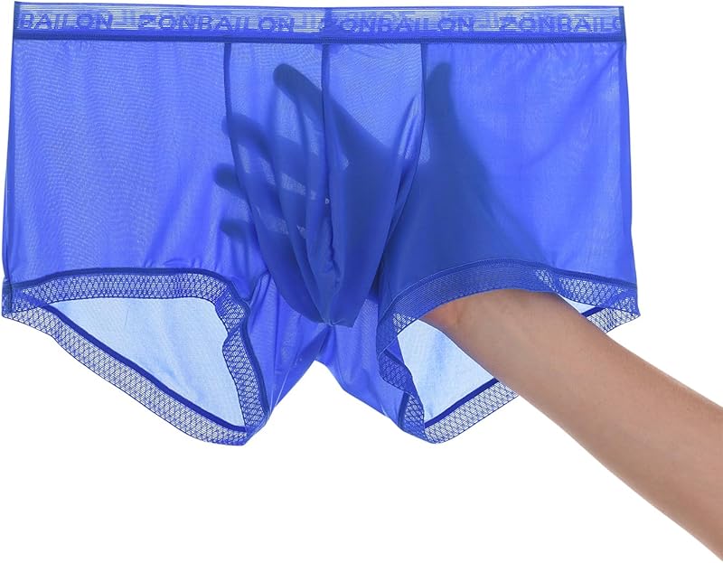 Men's Sexy Underwear Ice Silk Sheer Boxer Briefs See Through Mesh Ultra Thin Transparent Trunk