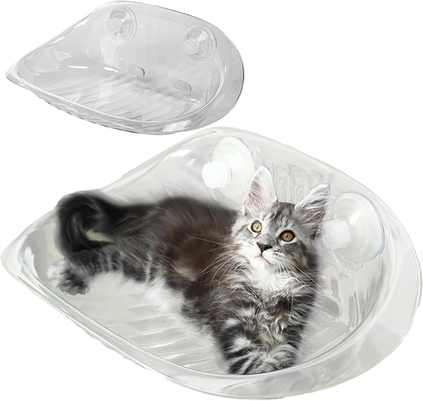 ウォールキャットベッドFurniture - クリアアクリルCatハンモック、FloatingかぶWallにTakeりPayけられたKittenのStopまり|SleepているCatのためのAttractionカップRest and SleepてDengる、IndoorのPlayびVenueのペットラウンジャーShed