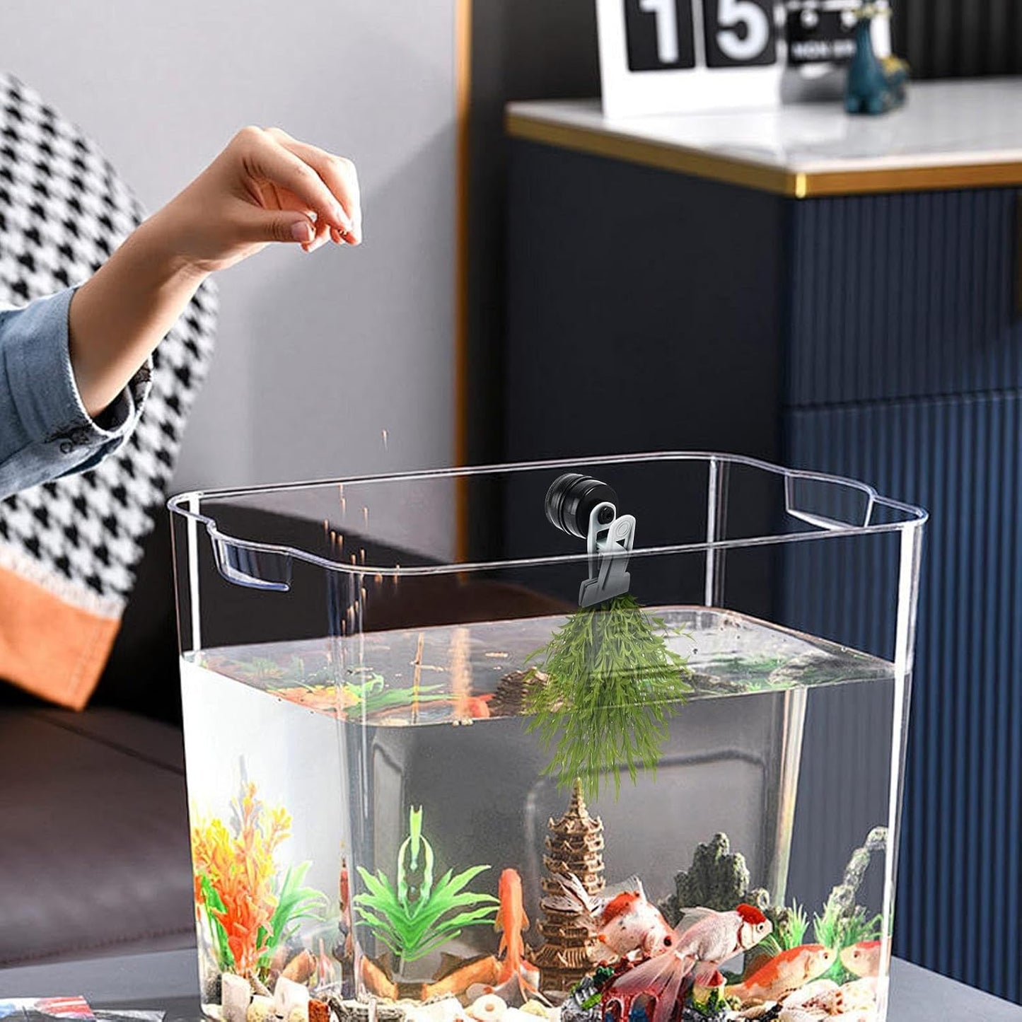Pince à algues, mangeoire magnétique pour aquarium, support de nourriture automatique compact, tortue Betta, crevettes, outil d'alimentation polyvalent en eau salée et eau douce pour entretien