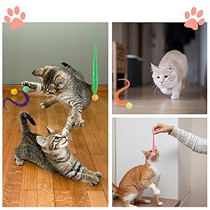 Yuannee Balle Chat,6 PCS Balle Interactive pour Chat avec Plumes Jouet Magique Rebondissant en Caoutchouc Multicolore Balles de Jeu d'Intérieur à Longue Queue Stimulation Motrice pour Chaton & Adulte