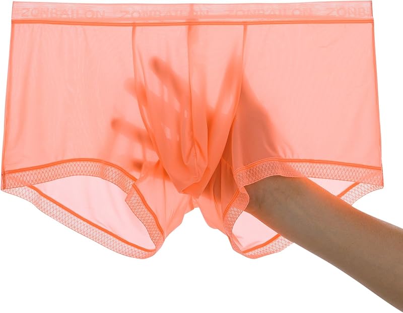 Men's Sexy Underwear Ice Silk Sheer Boxer Briefs See Through Mesh Ultra Thin Transparent Trunk