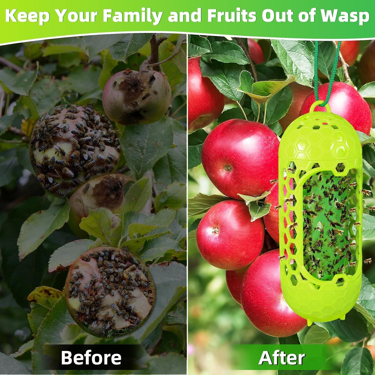 2 Pack Upgraded Outdoor Hanging Wasp Trap, Bee Traps for Outdoor Yellow Jacket Bee Catcher Trap, 2 PCS Refillable Sticky Papers, Fly Bug Insect Deterrent Killer