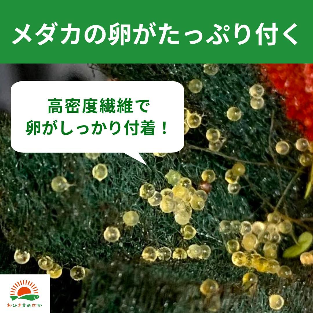 おひさまめだか メダカEgg-laying bed 8Each pieceり6Colorセット No abrasive used Antibacterial カビPrevention Hatching Rate UP Egg-laying rate UP Propagationサポート Supports large-scale egg production Reusable Sink Beginner Levelき Increase in egg production Prevent Egg Eating