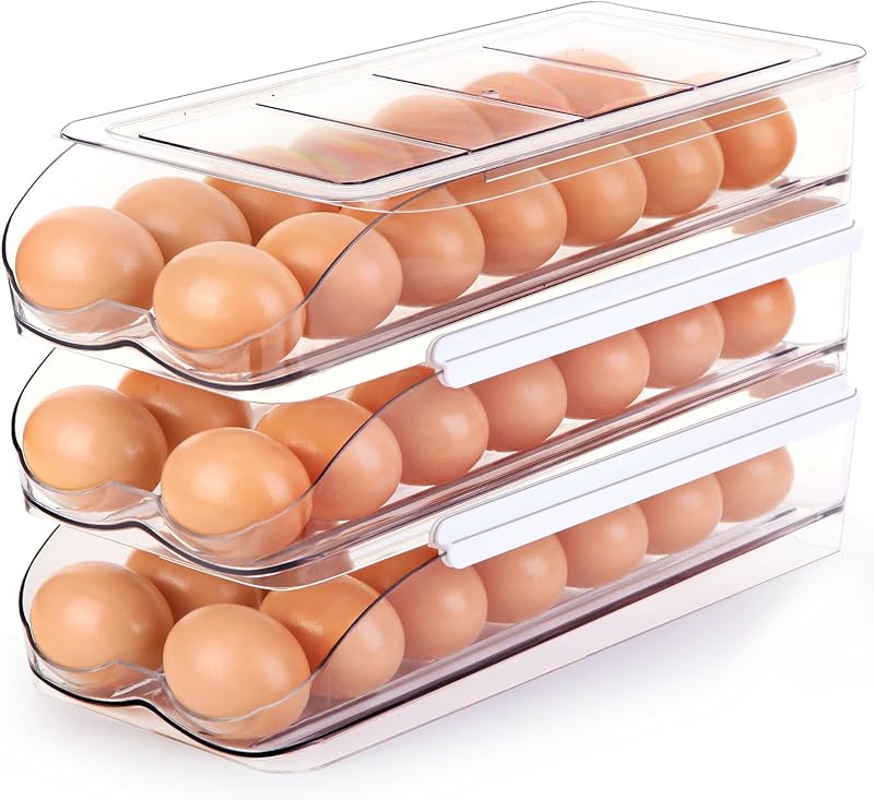 Egg Holder for Fridge, Automatic Rolling Egg Container for Refrigerator, Stackable Fridge Organizers and Storage with Lid, Clear Plastic Egg Dispenser & Tray (2 Tier)
