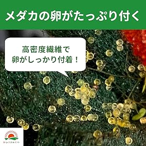 おひさまめだか メダカEgg-laying bed 8Each pieceり6Colorセット No abrasive used Antibacterial カビPrevention Hatching Rate UP Egg-laying rate UP Propagationサポート Supports large-scale egg production Reusable Sink Beginner Levelき Increase in egg production Prevent Egg Eating