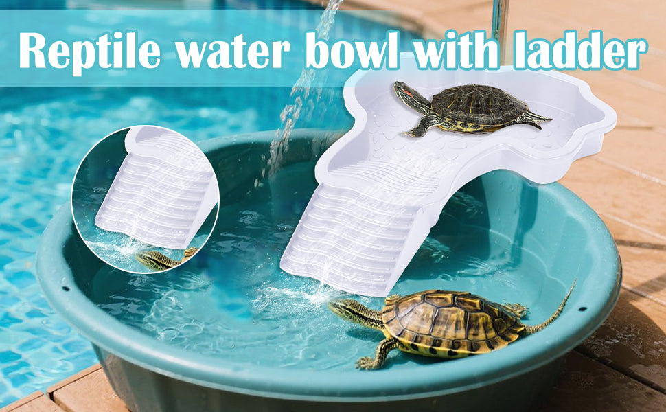 Piscine Tortue Terrestre Mangeoire, Plat d'eau Bassin pour Tortue de Piscine avec Rampe, Bol d'eau pour Reptiles avec Échelle, Bassin de Douche pour Terrasse (A)