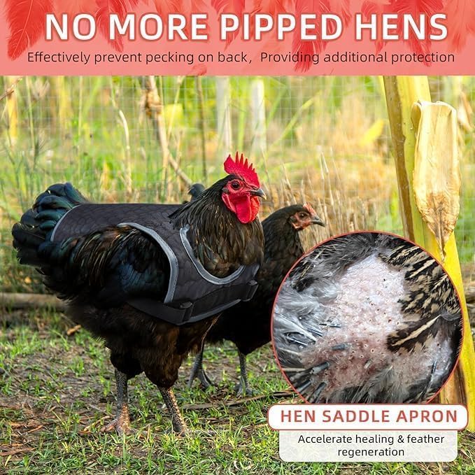 Chicken Saddle for Hens - Chicken Aprons for Hens With Adjustable Straps, Chicken Aprons & Vest Jacket for Hens