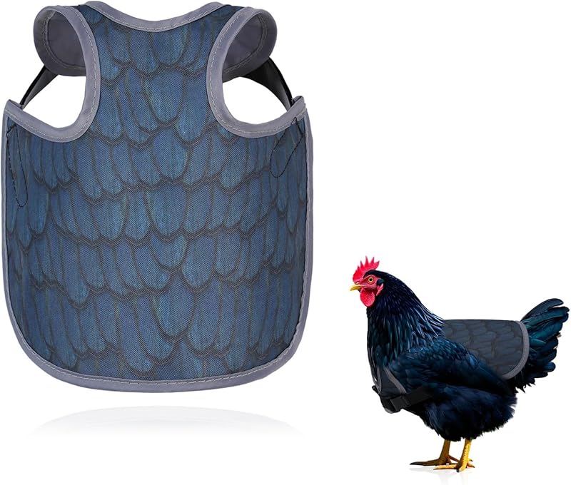 Chicken Saddle for Hens - Chicken Aprons for Hens With Adjustable Straps, Chicken Aprons & Vest Jacket for Hens - TrendyLookz