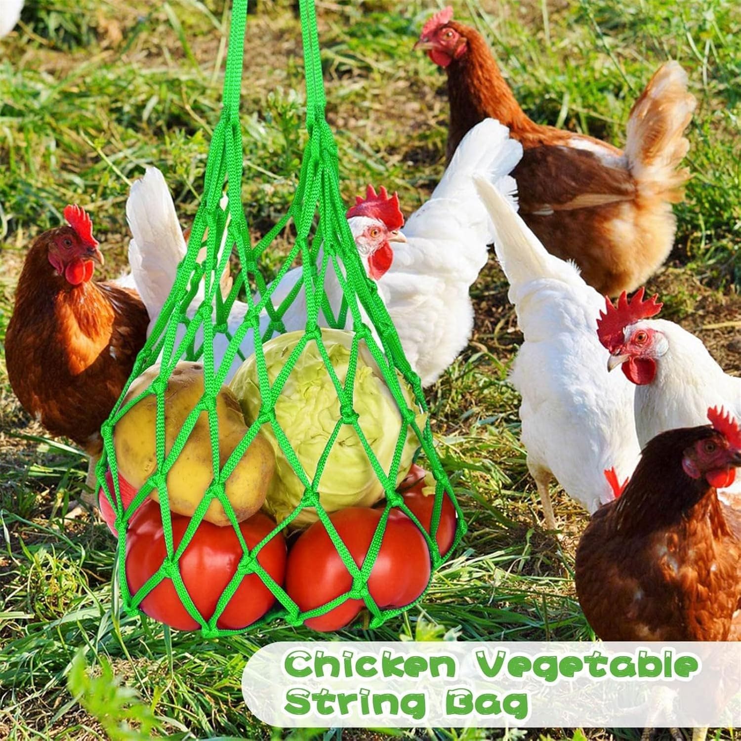 Chicken Vegetable Hanging Feeder, Chicken Vegetable String Bag, Poultry Fruit Holder Chicken Cabbage Feeder Treat Feeding Tool with S Hook for Hens Chicken Coop Toy for Hen Duck Accessories - TrendyLookz