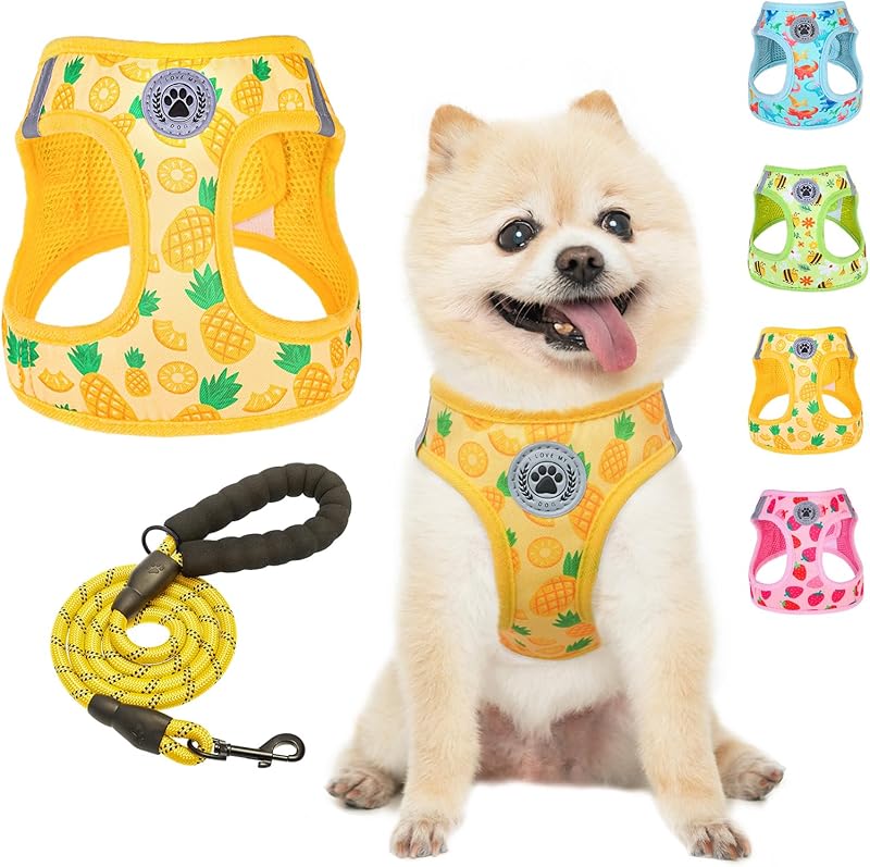 BEAUTYZOO Plaid Dog Harness and Leash Set for XS S Pets, Step-in No Choke No Pull Soft Mesh Vest Harness, Reflective for Extra-Small/Small Medium Puppy Dogs and Cats, Beige S