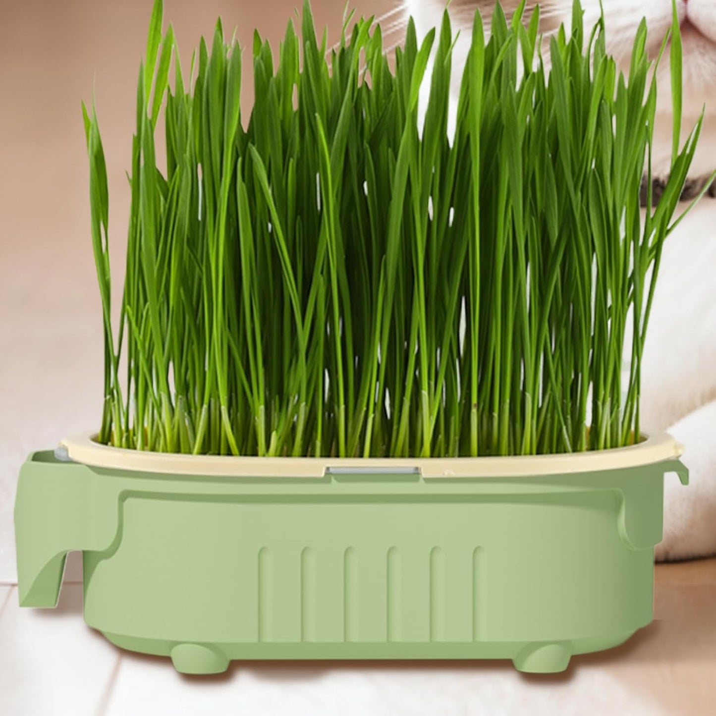 Hydroponic Cat Grass Pot | Indoor Cat Grass Hydroponic Planting Pot - Beginners-Friendly Novelty Pet Snacks Soil-Less Watering Solution for Garden, Balcony