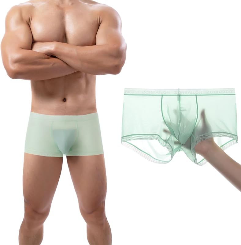 Men's Sexy Underwear Ice Silk Sheer Boxer Briefs See Through Mesh Ultra Thin Transparent Trunk