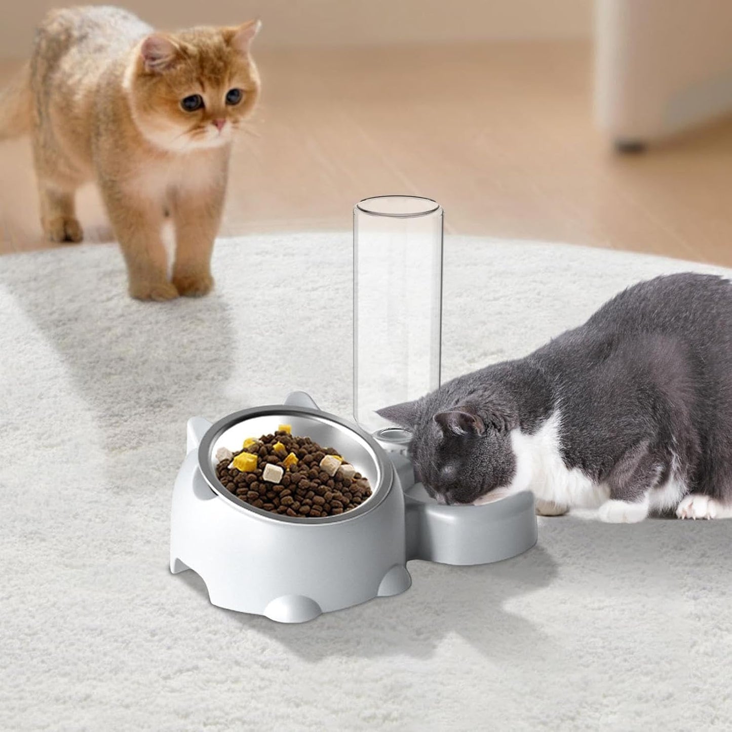 Double Dog Cat Bowls, Pets Water and Food Bowl Set, 15° Tilted Dishes with Water Dispenser, Pet Feeder Bowl Indoor for Kitten, Puppies, Small or Medium Size Dogs Cats (Grey)