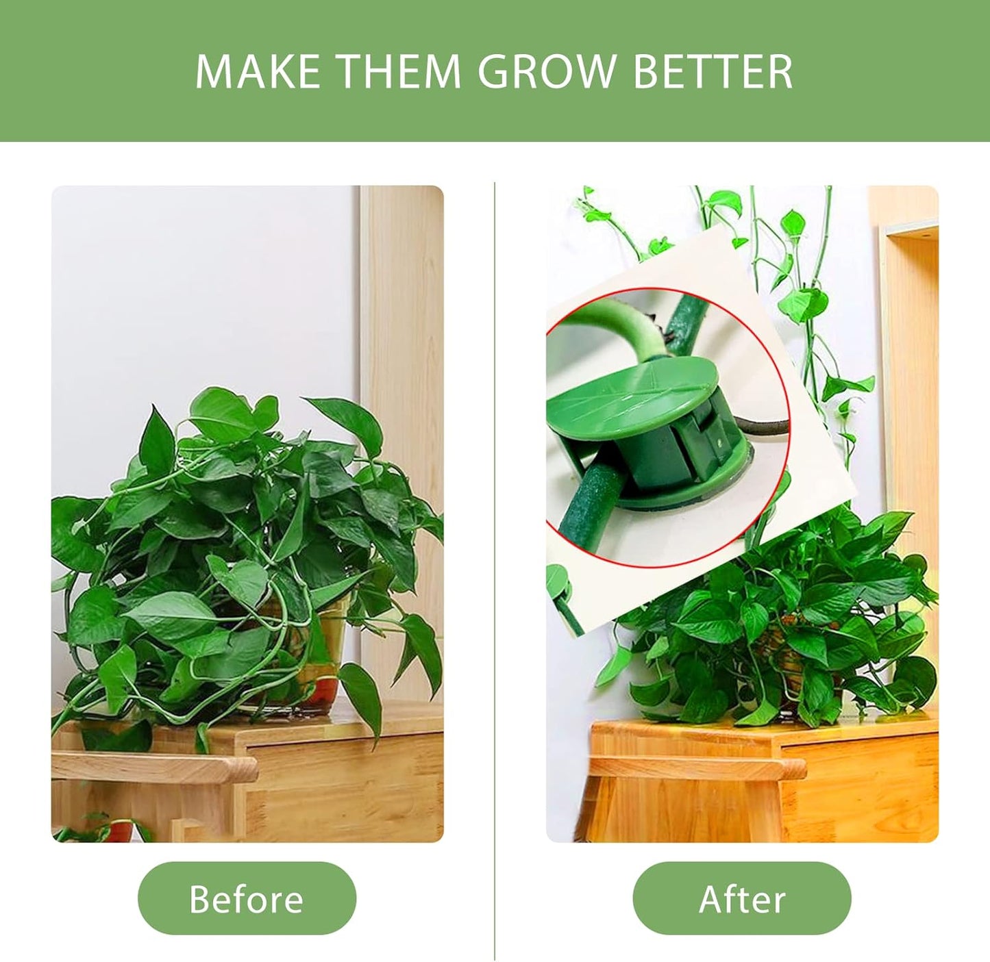 Plant Clips for Climbing Plants（40 Pack）, Self-Adhesive Fixer, Plant Climbing Wall Fixture Clips for Supporting Stems Grow Upright, Vines Traction, Cable Wire Fixing