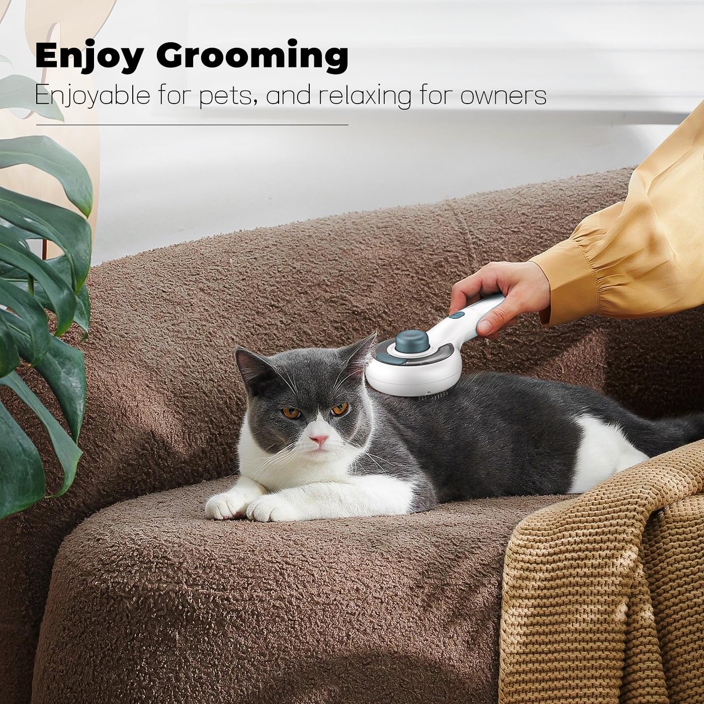 Cat Steam Brush for Indoor Cats – 3-in-1 Grooming Tool with Water Spray, Self-Cleaning Hair Comb for Long & Short Haired Cats and Dogs
