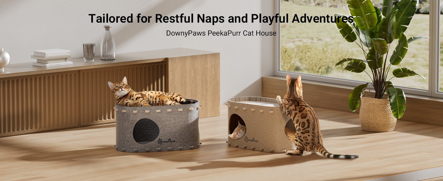 DownyPaws Cat House for Indoor Cats, Cat Bed Cave for Multiple & Large Cats Up to 22 Lbs, Scratch Resistant Peekaboo Cat Caves, Foldable Cat Tunnel Enclosed Bed, PeekaPurr, Cream - TrendyLookz