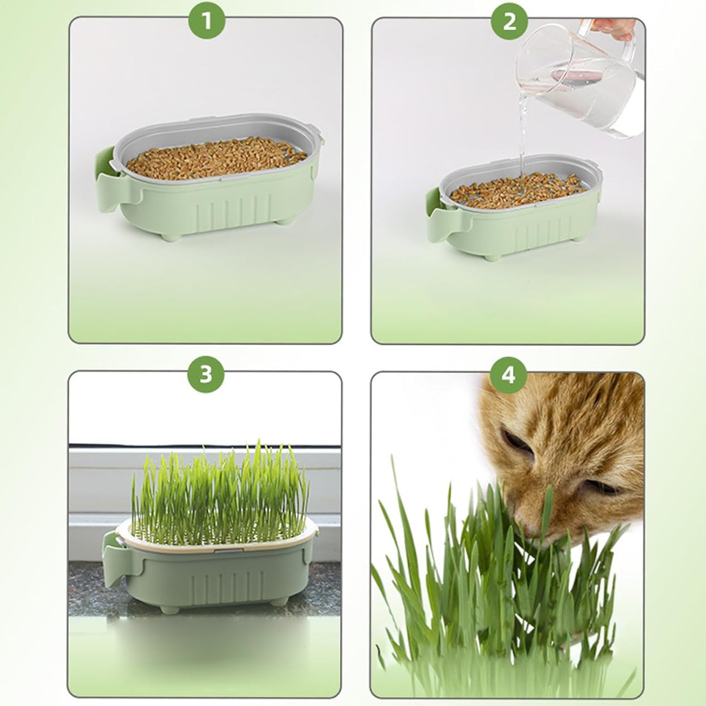 Hydroponic Cat Grass Pot | Indoor Cat Grass Hydroponic Planting Pot - Beginners-Friendly Novelty Pet Snacks Soil-Less Watering Solution for Garden, Balcony