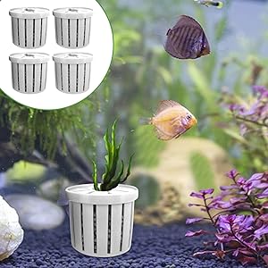 Aquarium Plant Cup,Aquatic Plant Cup - Small Stable Planting Basket for Desk Decorations Wall Window Pond Garden Corner Shelf