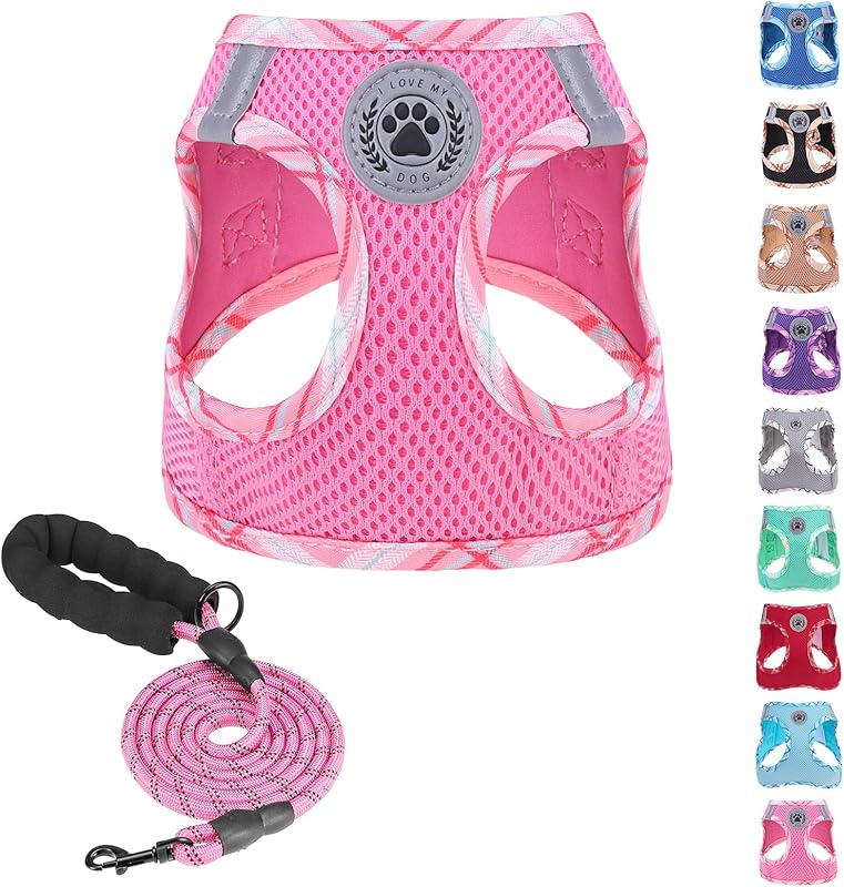 BEAUTYZOO Plaid Dog Harness and Leash Set for XS S Pets, Step-in No Choke No Pull Soft Mesh Vest Harness, Reflective for Extra-Small/Small Medium Puppy Dogs and Cats, Beige S