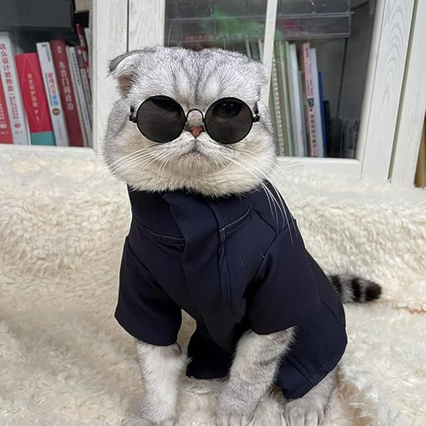 JinYu Pet Costume for Cat Cosplay Dog CostumeSunglasses Cat Headgear Halloween (Sunglasses + Wig Headgear, one Size)