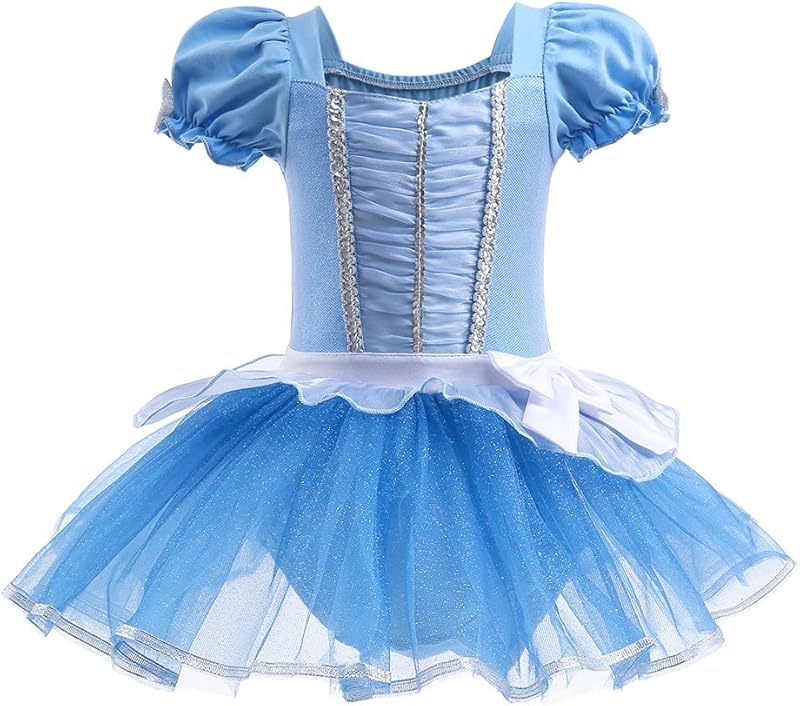 HIHCBF Princess Girls Leotards Ballet Dance Skirted Tutus Short Sleeve Dancewear Halloween Christmas Party Fancy Dress - TrendyLookz