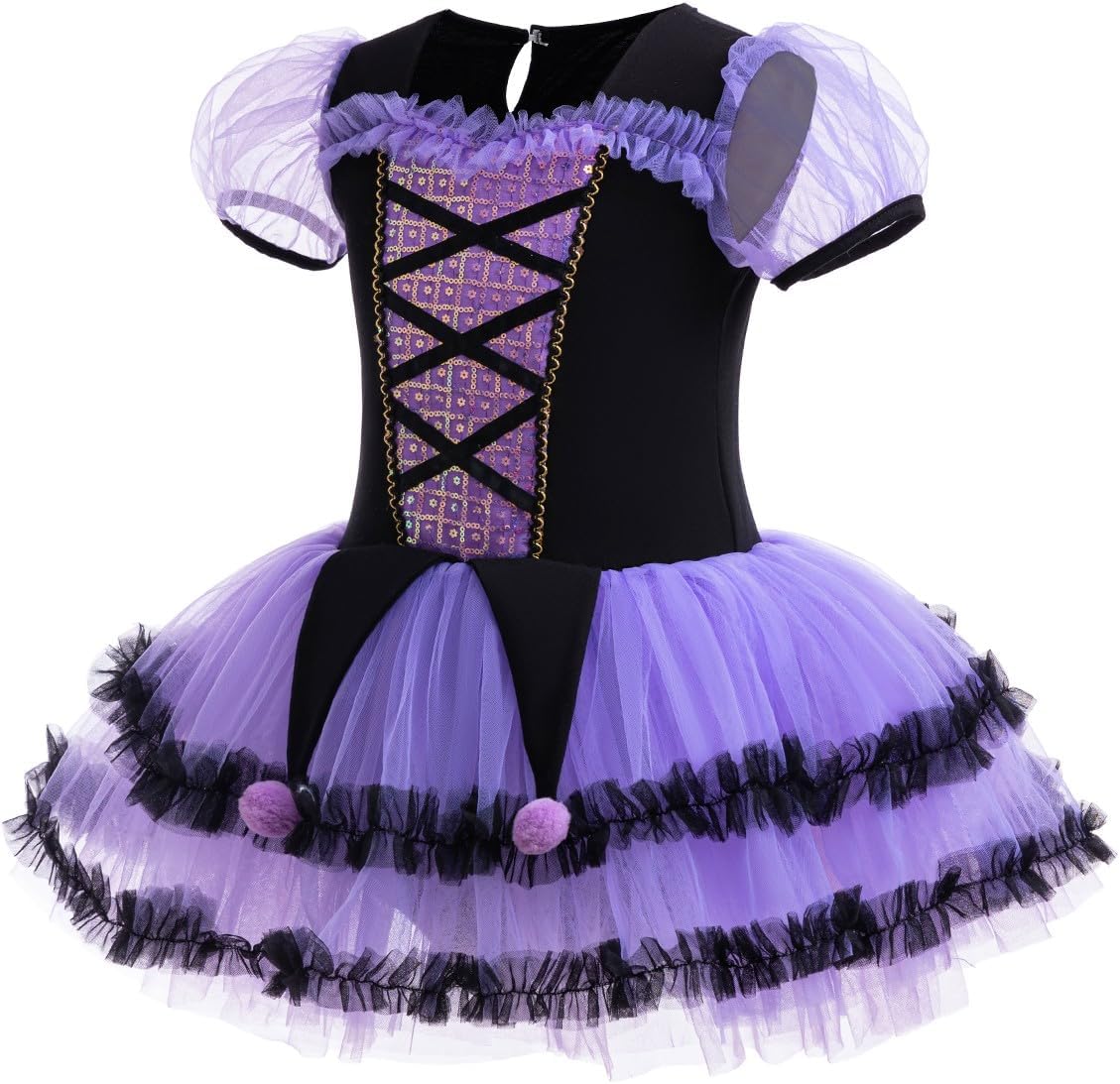 HIHCBF Princess Girls Leotards Ballet Dance Skirted Tutus Short Sleeve Dancewear Halloween Christmas Party Fancy Dress - TrendyLookz