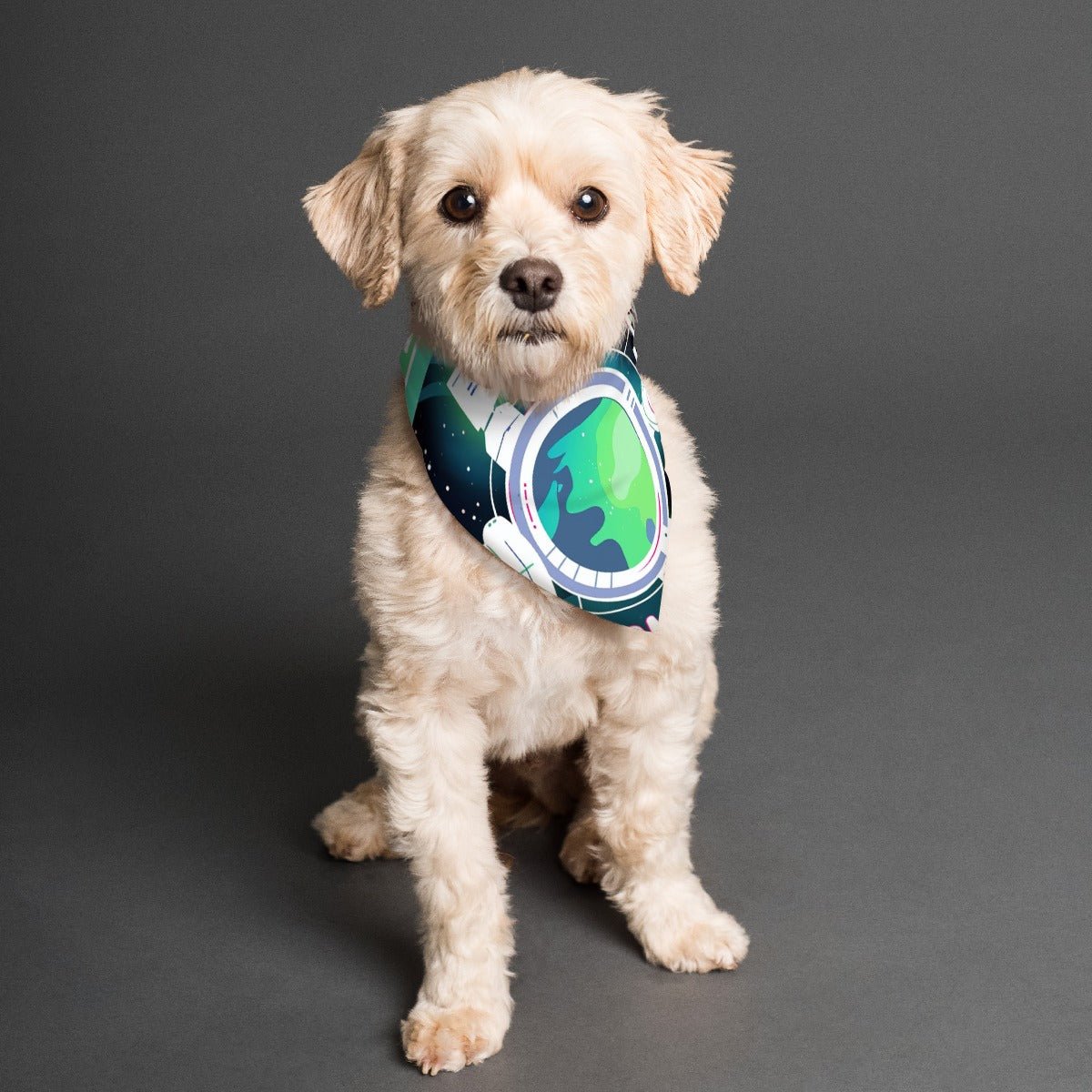TrendyLookz Pet Scarf - Fashionable & Comfortable Design for Dogs - TrendyLookz